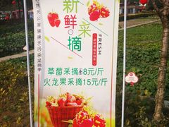 -洪湖家庭农场·团建·露营·会议