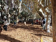 -交大兴庆校区室内游泳馆