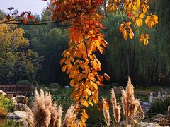 -河南省黄河迎宾馆