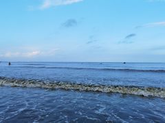 -日照海滨国家森林公园