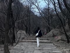 -嵖岈山风景区