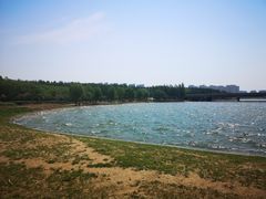-丁香湖公园