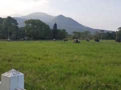 -瑞穗牧场