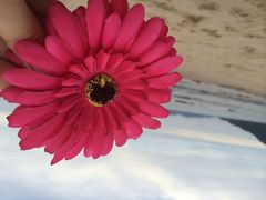 西冲沙滩-西涌国际滨海旅游区