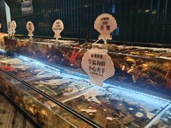 -雍容荟帝王蟹活龙虾展台自助(IFS黑金店)