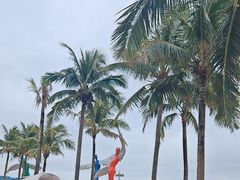 -大梅沙海滨公园