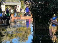 -马洛雷勒花园