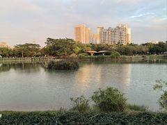 -福田红树林生态公园
