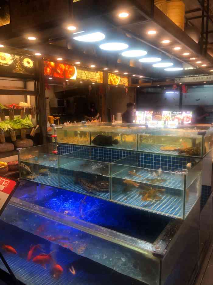 杨记味府(朝阳店)-"部门聚餐去的啦 这个点感觉每次都人气很旺.