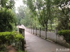 -重庆彩云湖湿地公园