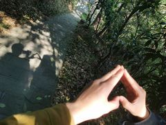 -杭州半山国家森林公园