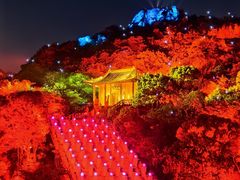 -印象普陀