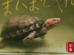 -谷咖啡·鲜花绿植花园餐厅