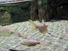 -顺德南宏海立方海洋公园