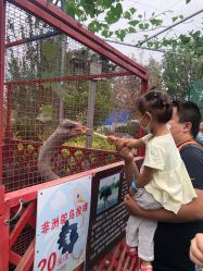 -萌宠亲子动物乐园(槐房万达店)