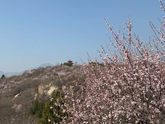 -白水寺森林公园