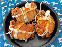 -蟹宝酒楼•农家菜(古城北路店)