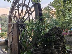 -广州白江湖森林公园