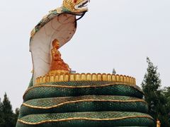 -洛阳白马寺