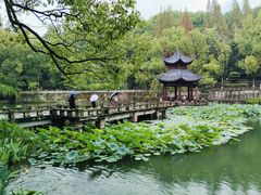 -忠山公园
