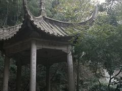 -峙山公园