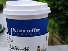 桂花燕麦拿铁-瑞幸咖啡(北京财富中心店)