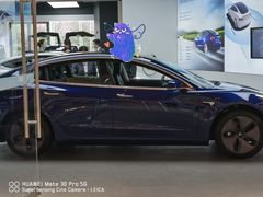 -TESLA 特斯拉(郑州正弘城体验店)