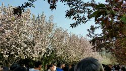 -OM瑜伽教练培训学院