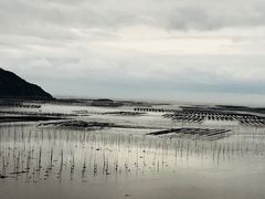 -北岐滩涂