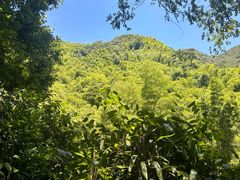 -众神白水涧景区