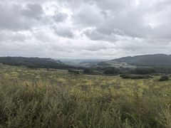 -御道口草原森林风景区