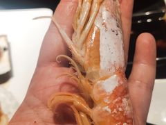 阿根廷红虾-乔哥铭洋海鲜自助(皇城恒隆广场店)