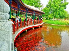 -西海子公园