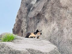 -北京凤凰岭