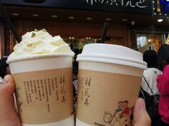 -茶颜悦色(岳麓山顶店)