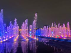 -大雁塔北广场音乐喷泉