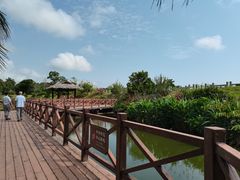 -沙美村