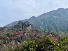 -秦岭终南山世界地质公园翠华山景区