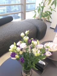 -JNK皮肤管理中心