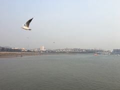 -栈桥景区