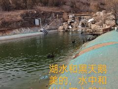 -静之湖度假区