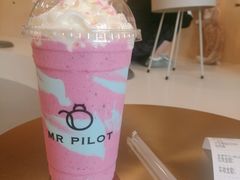 -飞行喵MR PILOT|猫舍·猫咖(静安大融城店)