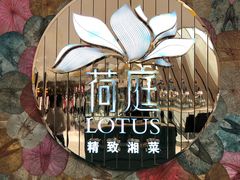 -荷庭·精致湘菜(华强北九方店)