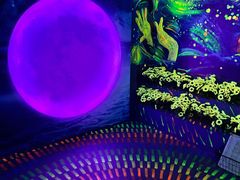 -天津梵高星空艺术馆(天河城旗舰店)