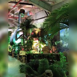 -恐龙探索乐园(磁器口店)