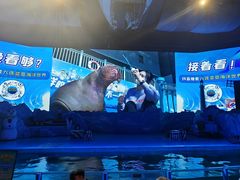 -大连圣亚海洋世界