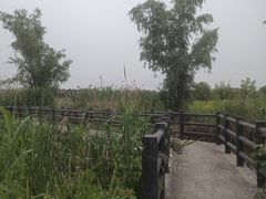 -同里国家湿地公园