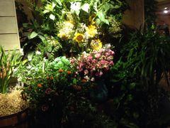 -春暖花开(西溪店)