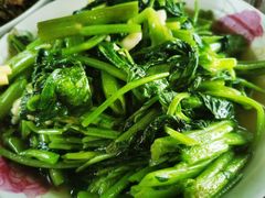 -同銮特种养殖场·龙虾垂钓