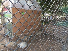 -陕西自然博物馆